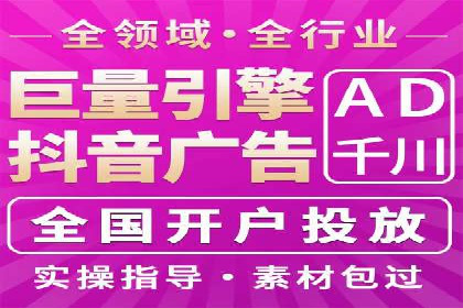 SEO百度推广策略：成功案例解析